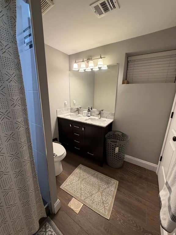 Silver Spring Spacious Apartment